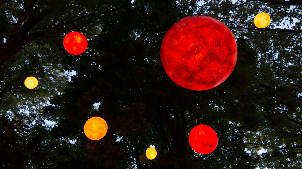 Lampions im Baum