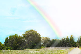 Ein lichtüberflutetes Bild mit einem Regenbogen