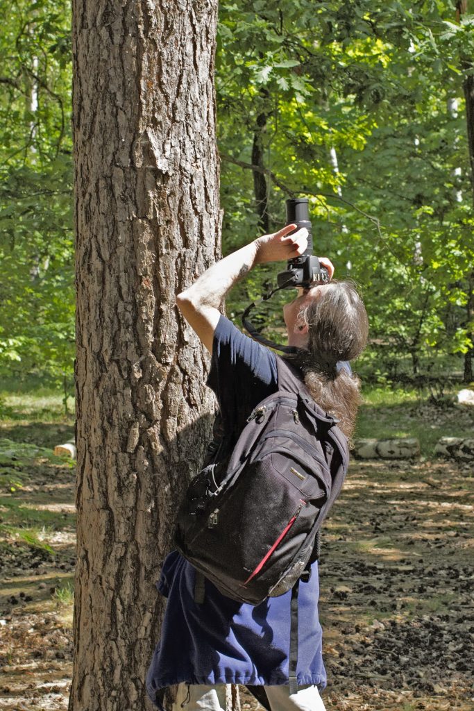 Ein Foto, auf dem ein Mann sehr nah an einem Baumstamm steht und diesen nach Oben in die Krone anschaut. Er hält eine Kamera mit sehr langem Objektiv vor seinem Gesicht. Der Mann schultert links einen schweren Rucksack. Die Sonne scheint, man sieht Schatten und Sonnenflecke auf dem Arm des Mannes. im Hintergrund sind viee Laubbäume zu sehen.